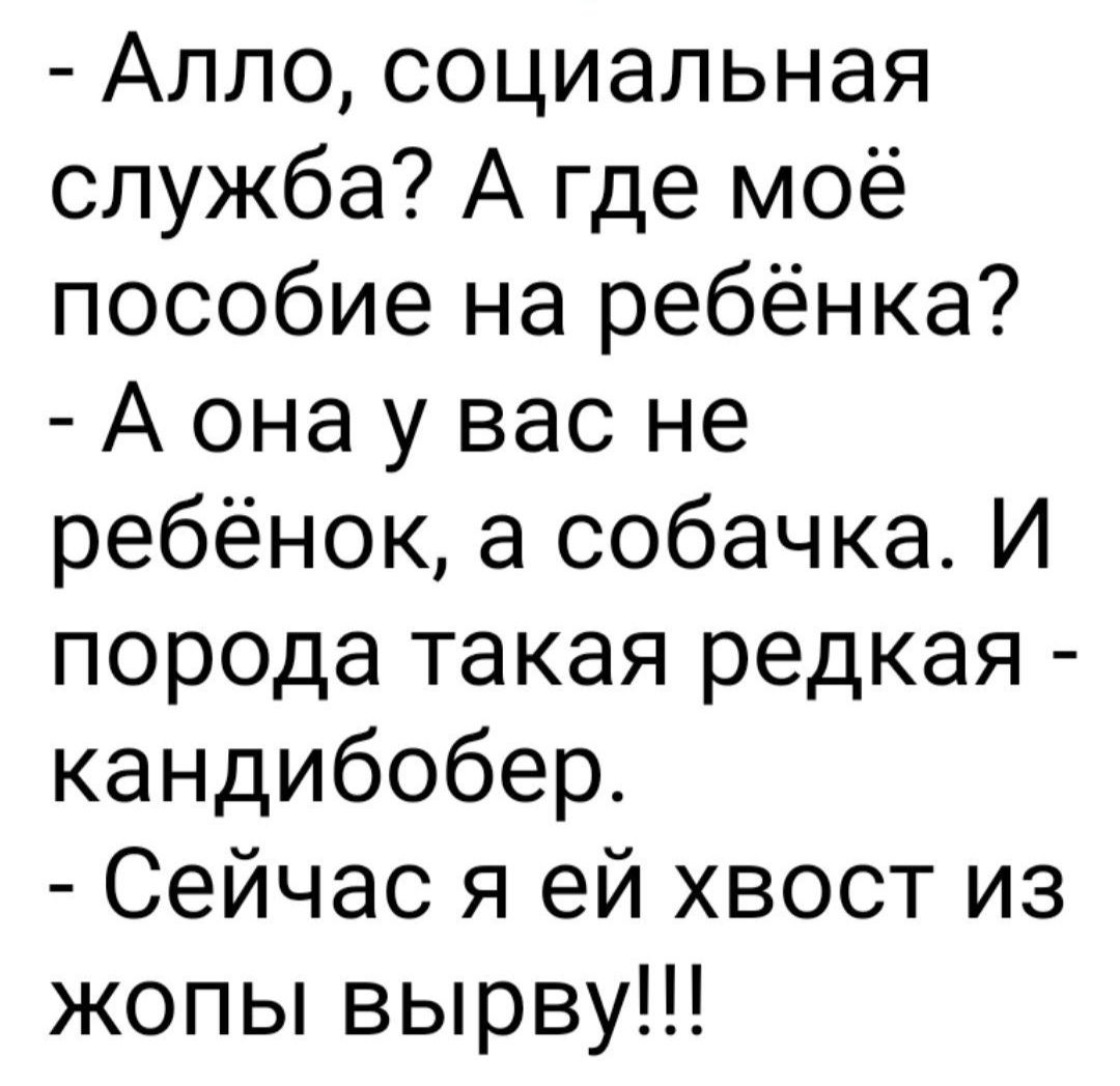 Алло социальная служба А где моё пособие на ребёнка А она у вас не ребёнок а собачка И порода такая редкая кандибобер Сейчас я ей хвост из жопы вырву