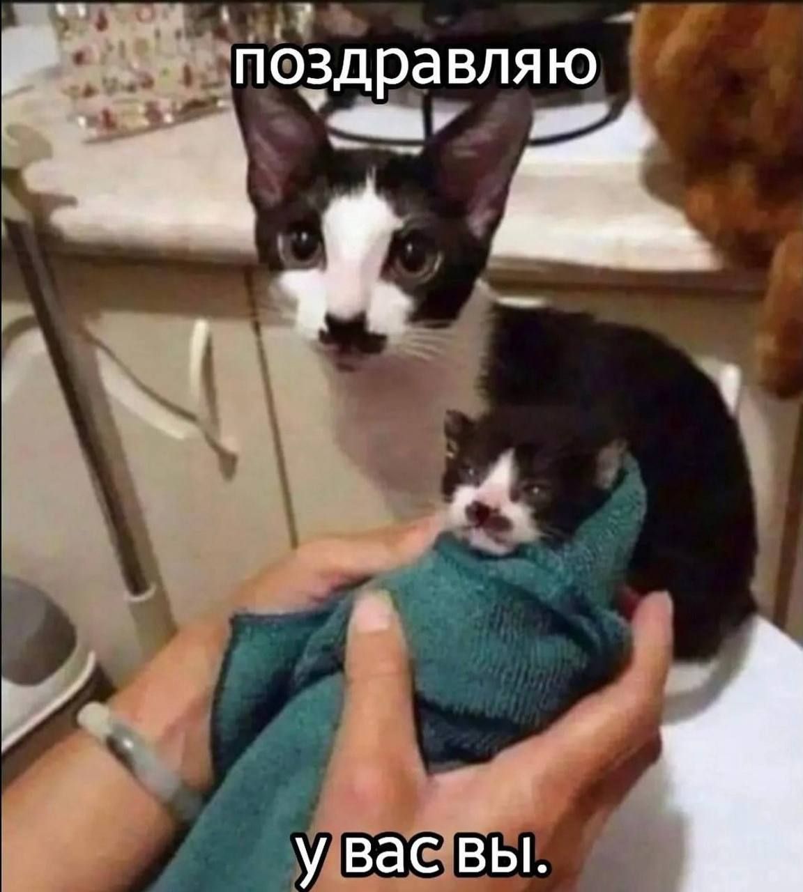 4 пэёдравляю ана