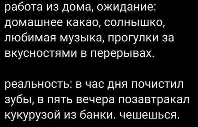 работа из дома ожидание домашнее какао солнышко любимая музыка прогулки за вкусностями в перерывах реальность в час дня почистил зубы в пять вечера позавтракал кукурузой из банки чешешься