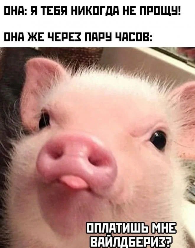 ОНА Я ТЕБЯ НИКОГДА НЕ ПРОЩУ ОНА ЖЕ ЧЕРЕХ ПАРУ ЧАСОВ а ол оплЕтиШе НЫ ВАЙЛДБЕРИХ2