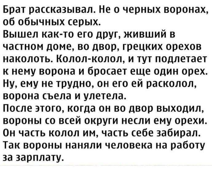 Брат рассказывал Не о черных воронах об обычных серых Вышел как то его друг живший в частном доме во двор грецких орехов наколоть Колол колол и тут подлетает к нему ворона и бросает еще один орех Ну ему не трудно он его ей расколол ворона съела и улетела После этого когда он во двор выходил вороны со всей округи несли ему орехи Он часть колол им часть себе забирал Так вороны наняли человека на раб