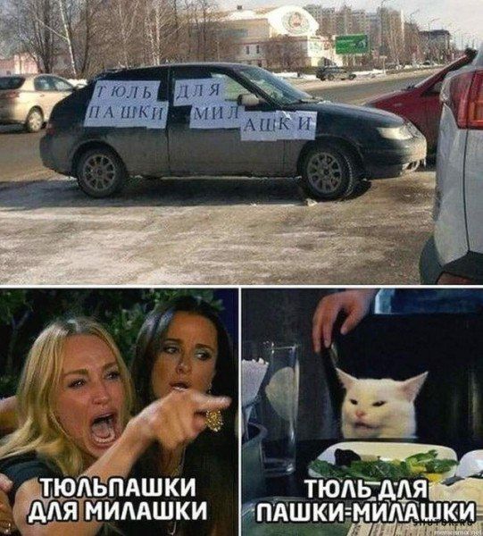 АТЮЛЬПАШКИ ягиимшки