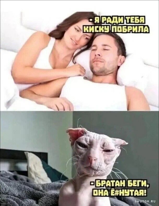 Я РАДИ ТЕБЯ СУ КИСКУ ПОБРИЛА ха БРАТАН БЕГИ