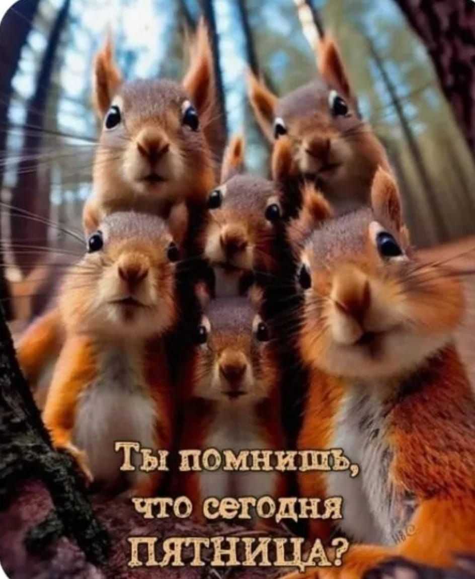 Ты помнише что сегодня