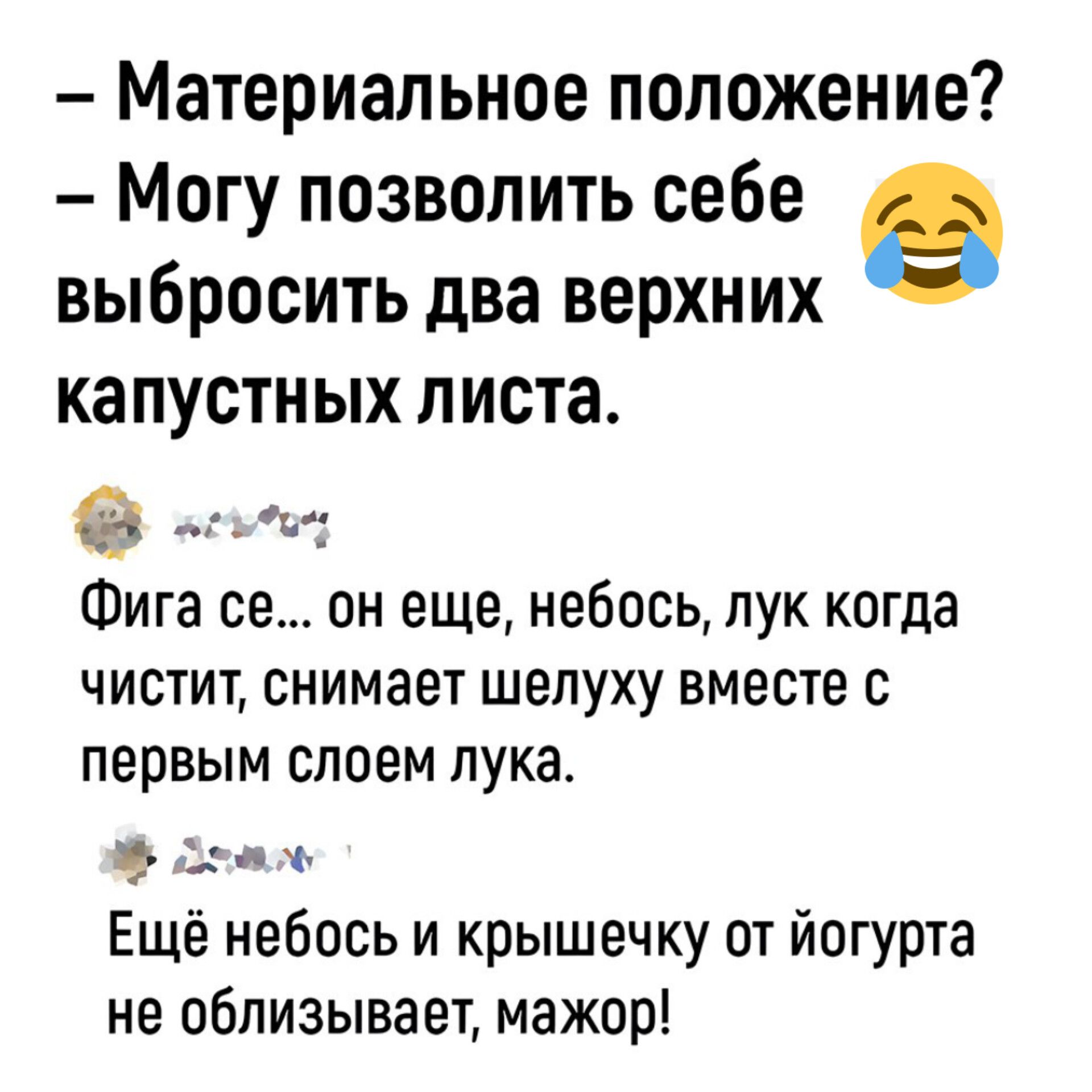 Материальное положение Могу позволить себе выбросить два верхних капустных листа от Фига се он еще небось лук когда чистит снимает шелуху вместе с первым слоем лука от Ещё небось и крышечку от йогурта не облизывает мажор