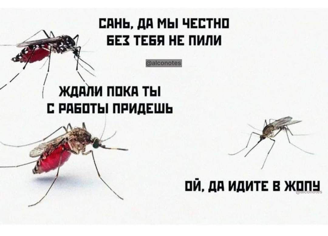 САНЬ ДА МЫ ЧЕСТНО БЕХ ТЕБЯ НЕ ПИЛИ у ЖДАЛИ ПОКА ТЫ С РАБОТЫ ПРИДЕШЬ ж 0Й ДА ИДИТЕ В ЖОПУ