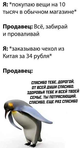 Я покупаю вещи на 10 тысяч в обычном магазине Продавец Всё забирай и проваливай Я заказываю чехол из Китая за 34 рубля Продавец СПЯСИБО ТЕБЕ ДОРОГОЙ Т ВСЕЙ ДУШИ СПЯСИБП ЗДОРОВЬЯ ТЕБЕ И ВСЕЙ ТЕОЕЙ СЕМЬЕ ТЫ ПОТРЯСАЮЩИЙ СПЯСИБО ЕЩЕ РЯЗ СПЯСИБО