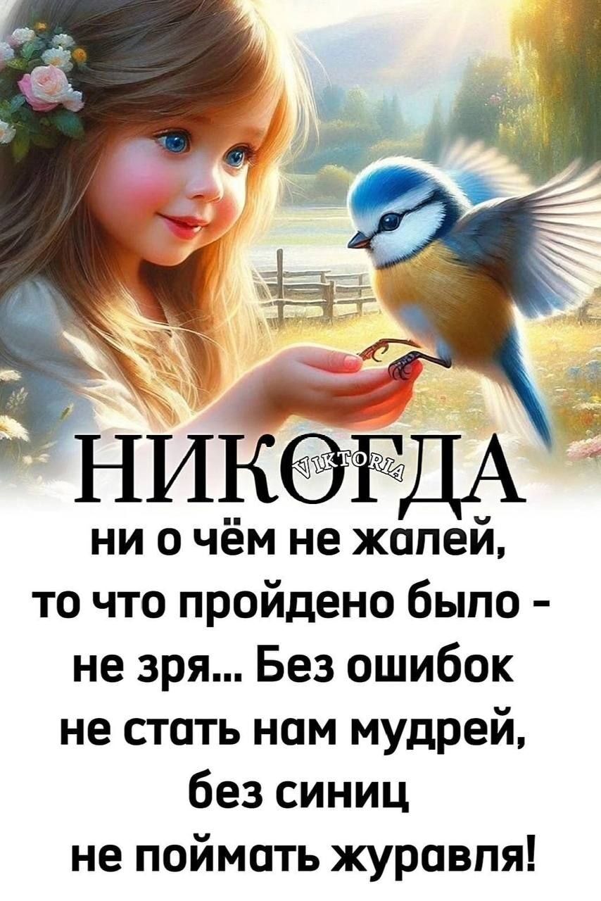 ни о чём не жапеи то что пройдено было не зря Без ошибок не стать нам мудрей без синиц не поймать журавля