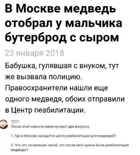В Москве медведь отобрал у мальчика бутерброд с сыром Бабушка гулявшая с внуком тут же вызвала полицию Правоохранители нашли еще одного медведя обоих отправили в Центр реабилитации 1Гев Мо медеедю