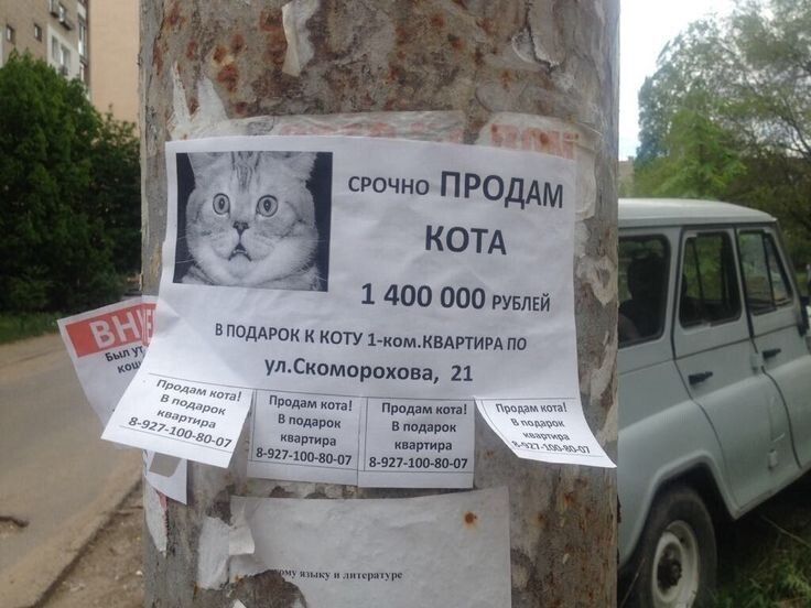 1 400 000 гувлей АРОК К КОТУ 1 нольНВАРТИРА О улСкоморокова 21