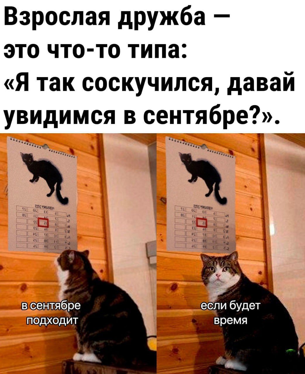 Взрослая дружба это что то типа Я так соскучился давай увидимся в сентябре че р ее