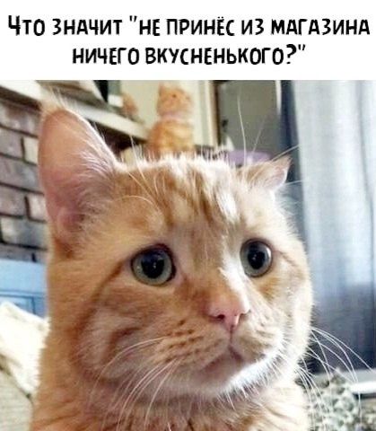 Что ЗНАЧИТ НЕ ПРИНЁС ИЗ МАГАЗИНА НИЧЕГО ВКУСНЕНЬКОГО