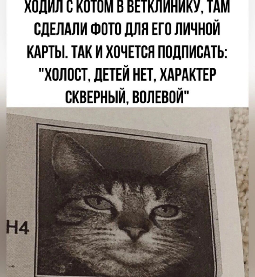 ЛОДИЛ С КОТОМ 6 БЕТКЛИНИКУ ТАМ СДЕЛАЛИ ФОТО ДЛЯ ЕГО ЛИЧНОЙ КАРТЫ ТАК И ХОЧЕТСЯ ПОДПИСАТЬ ХОЛОСТ ДЕТЕЙ НЕТ ХАРАКТЕР СКВЕРНЫЙ ВОЛЕВОЙ соое о Бодце сеяво 8