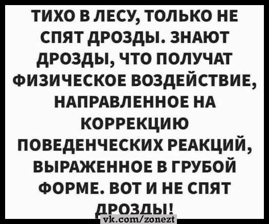 ТИХО В ЛЕСУ ТОЛЬКО НЕ СПЯТ ДРОЗДЫ ЗНАЮТ ДРОЗДЫ ЧТО ПОЛУЧАТ ФИЗИЧЕСКОЕ ВОЗДЕЙСТВИЕ НАПРАВЛЕННОЕ НА КОРРЕКЦИЮ ПОВЕДЕНЧЕСКИХ РЕАКЦИЙ ВЫРАЖЕННОЕ В ГРУБОЙ ФОРМЕ ВОТ И НЕ СПЯТ
