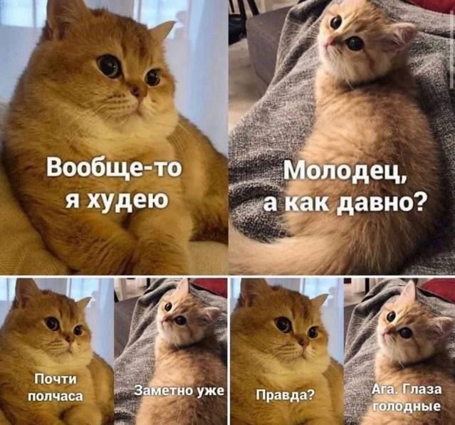 почти полчаса