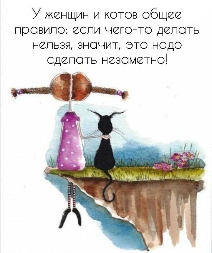 У женщин и котов общее проавило сли чего то делать нельзя значит это надо сделать незометно
