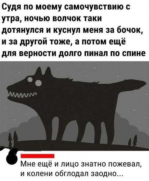 Судя по моему самочувствию с утра ночью волчок таки дотянулся и куснул меня за бочок и за другой тоже а потом ещё для верности долго пинал по спине Мне ещё и лицо знатно пожевал и колени ОБГЛОДЗЛ заодно