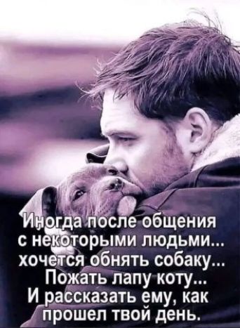 а е общения с норыми людьми хочется_обнять собаку Пожать лапукоту Ирас_сказать ему как Дпрошел твой день