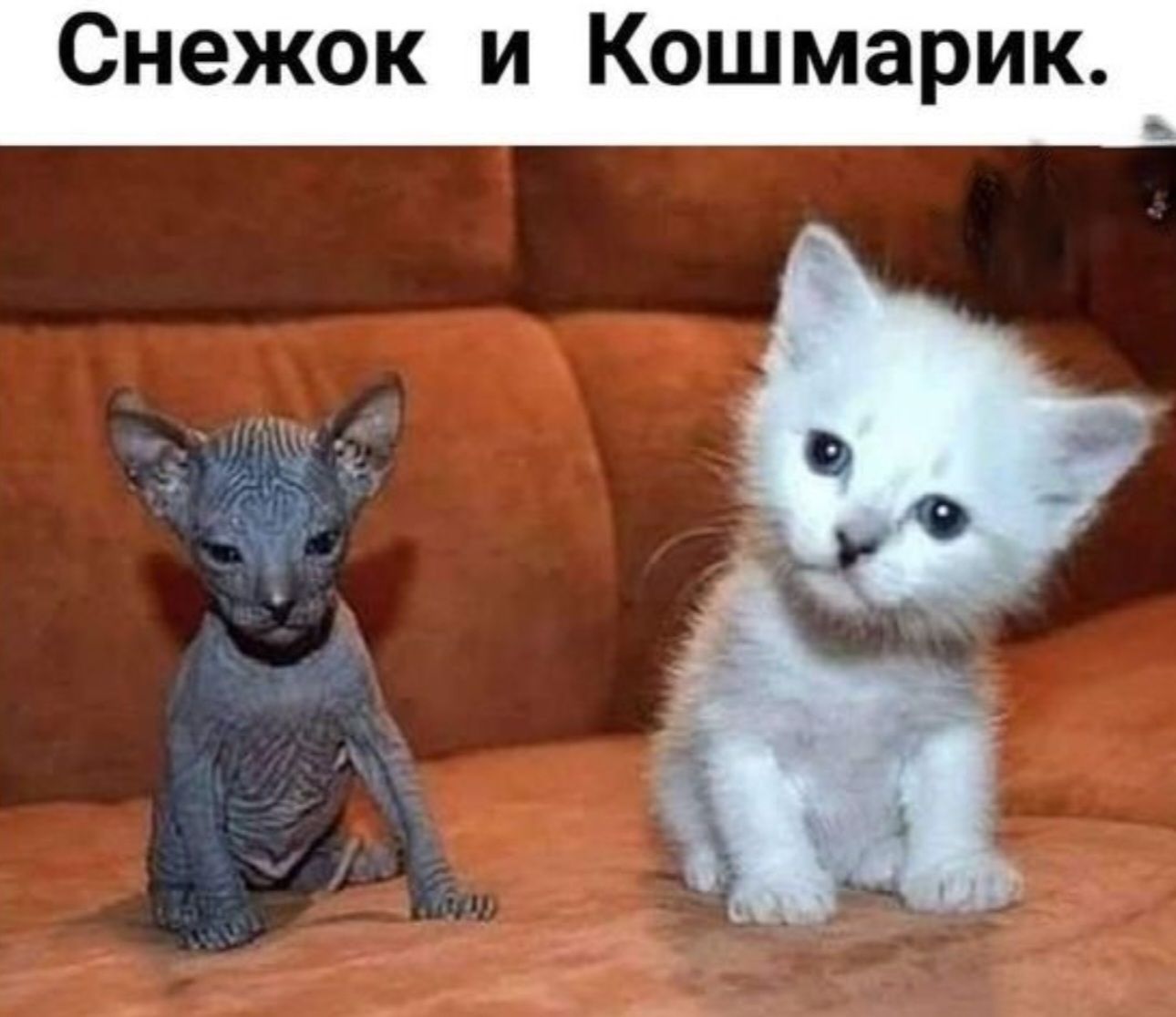 В