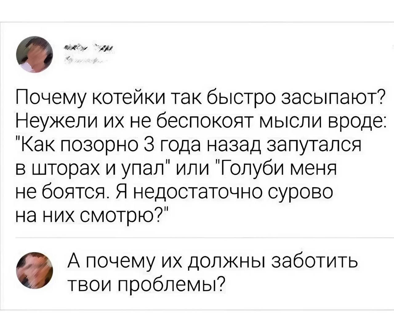 ш Почему котейки так быстро засыпают Неужели их не беспокоят мысли вроде Как позорно 3 года назад запутался в шторах и упал или Голуби меня не боятся Я недостаточно сурово на них смотрю А почему их должны заботить твои проблемы