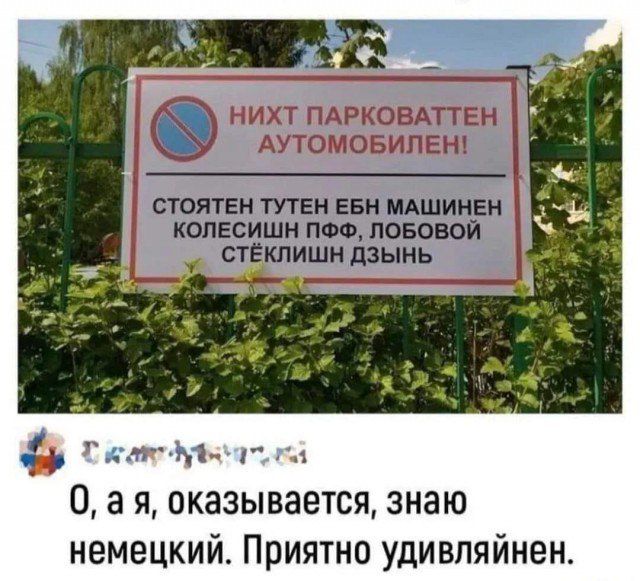 Т катдуеатета 0ая оказывается знаю немецкий Приятно удивляйнен