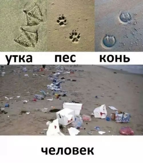 ка пес _ конь человек