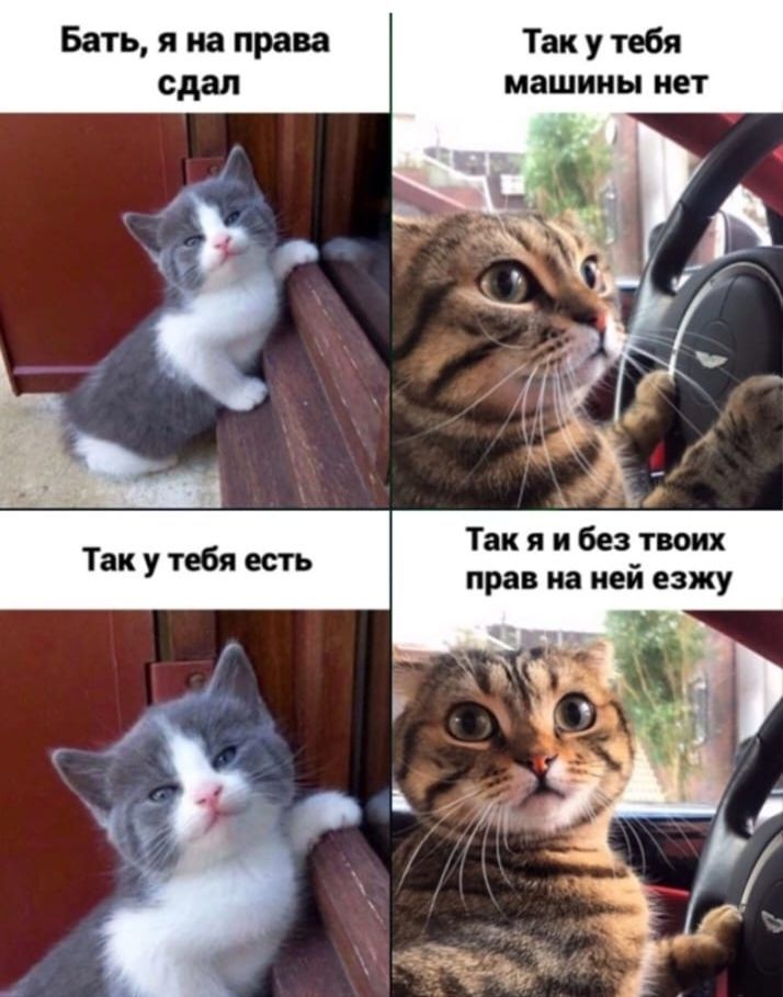 Так у тебя машины нет Так я и без твоих прав на ней езжу