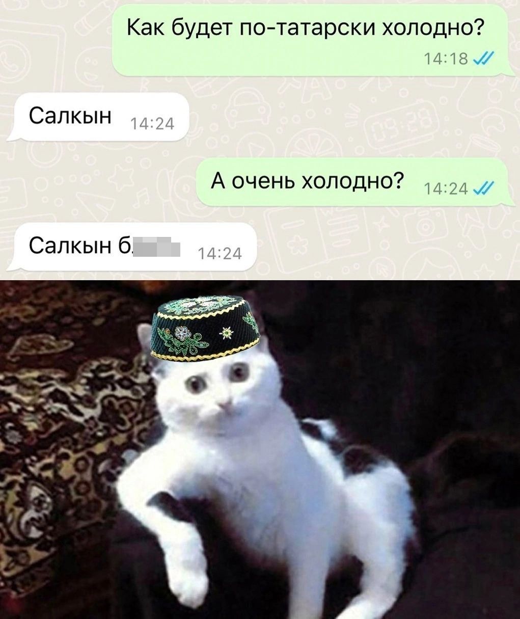 Как будет по татарски холодно Салкын А очень холодно Салкын 6