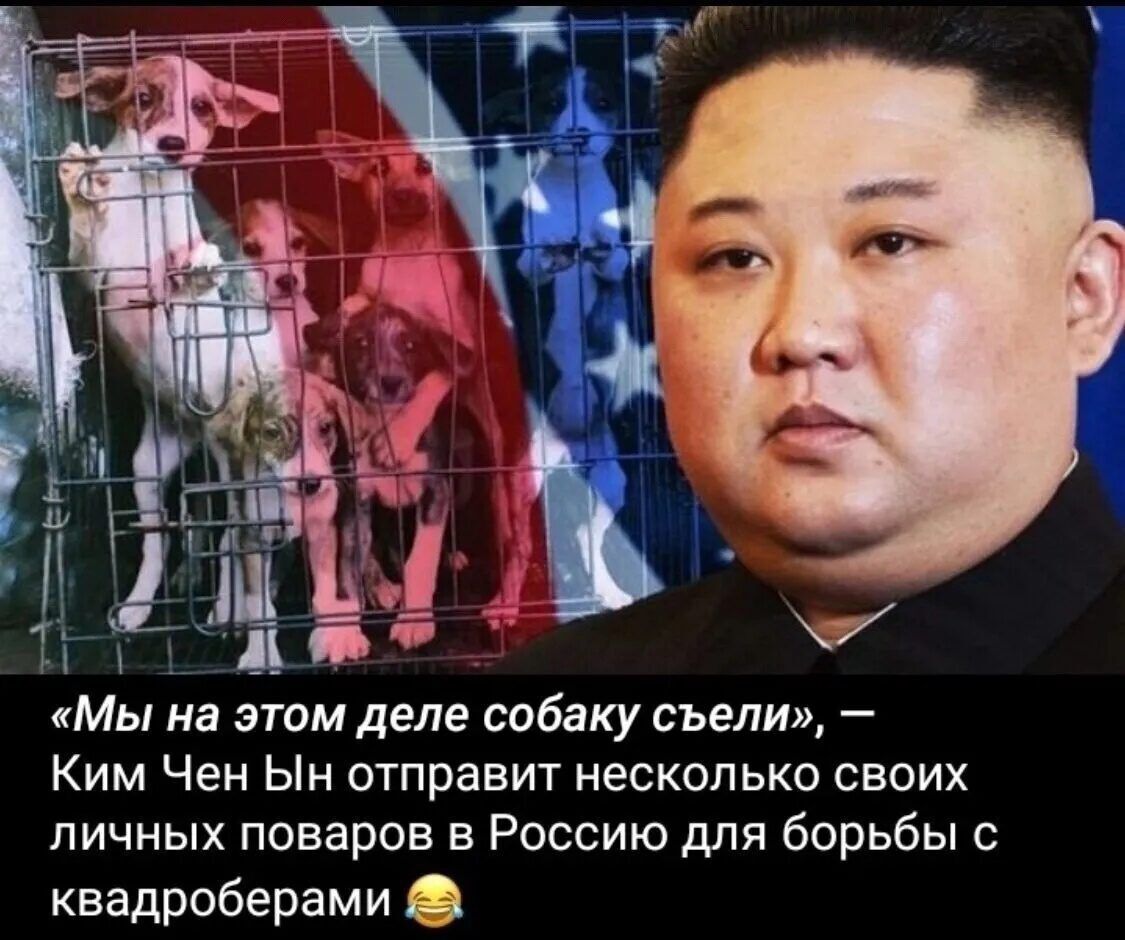 1 Мы на этом деле собаку съели Ким Чен Ын отправит несколько своих личных поваров в Россию для борьбы с квадроберами