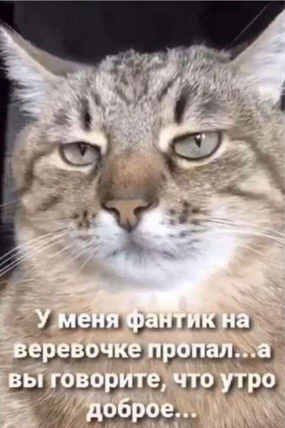 7 меня Фантик на ВЫ ОБОРРЕ ЕНУ ТР 2идоброел