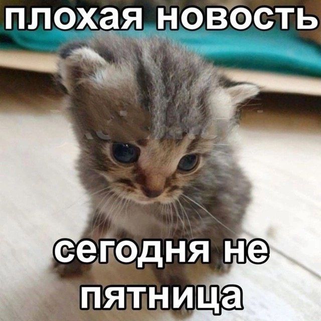 пИ лГе В М ло Хо оя И