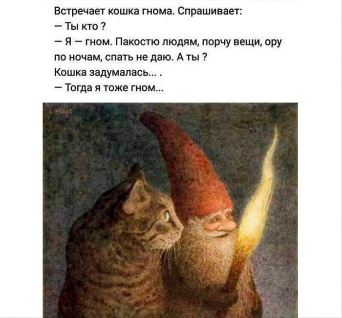 Встречает кошка гнома Спрашивает Ты кто я гном Пакостю людям порчу вещи ору по ночам спать не даю Аты Кошка задумалась Тогда я тоже гном