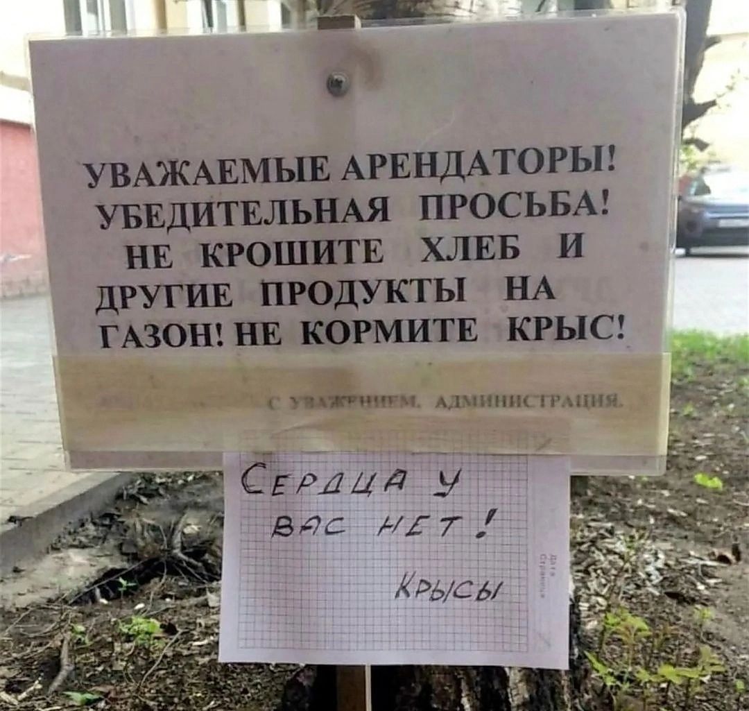 ОЦШЕЕЮО ва УВАЖАЕМЫЕ АРЕНДАТОРЫ УБЕДИТЕЛЬНАЯ ПРОСЬБА _ НЕ КРОШИТЕ ХЛЕБ И ДРУГИЕ ПРОДУКТЫ НА ТАЗОН НЕ КОРМИТЕ КРЫС УвАЖТННЕМ АЛМИНИСТРАЦИЯ СЕРдца м ВС КЕТИ КРЫСЫ
