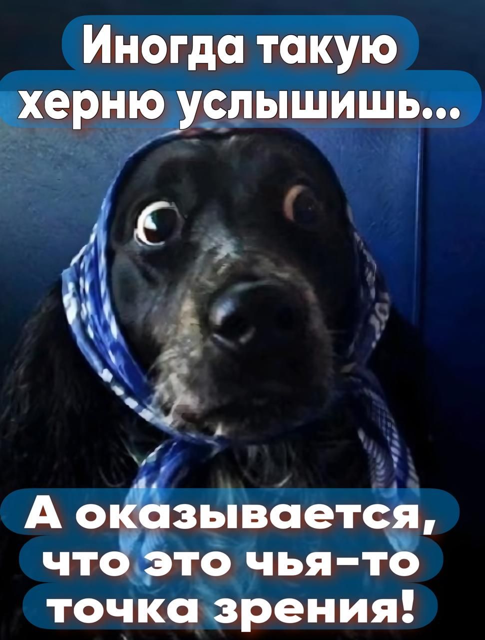 Иногда такую херню услышишь Ц М 5 А оказывается что Это чья то точка зрения
