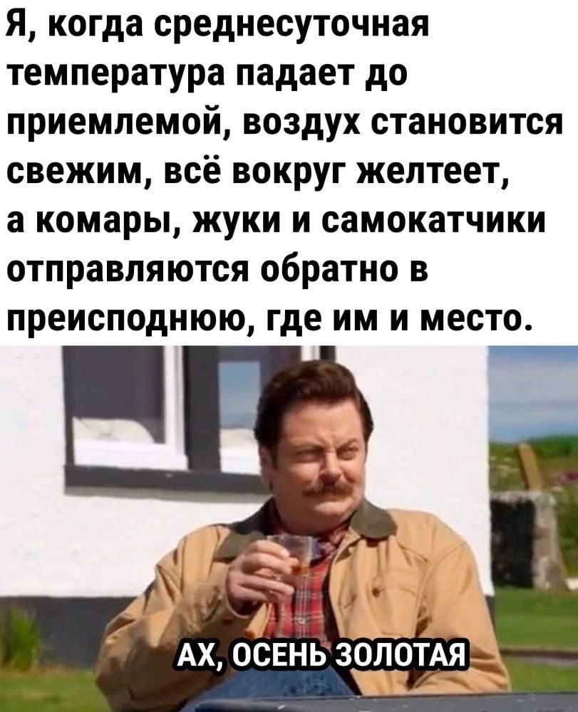 Я когда среднесуточная температура падает до приемлемой воздух становится свежим всё вокруг желтеет а комары жуки и самокатчики отправляются обратно в преисподнюю где им и место Ь АХ ОСЕНЬ ЗОЛОТАЯ