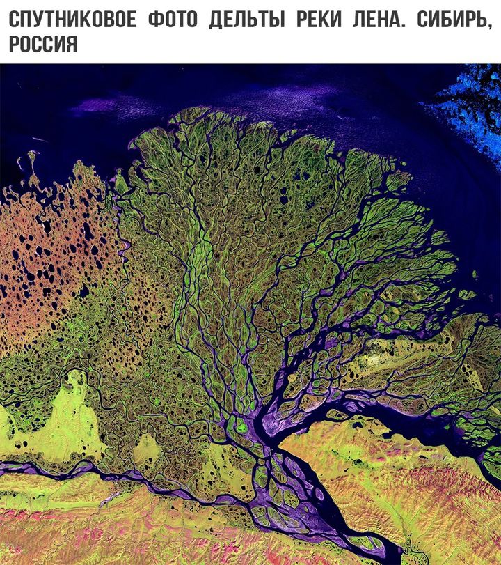 СПУТНИКОВОЕ ФОТО ДЕЛЬТЫ РЕКИ ЛЕНА СИБИРЬ РОССИЯ