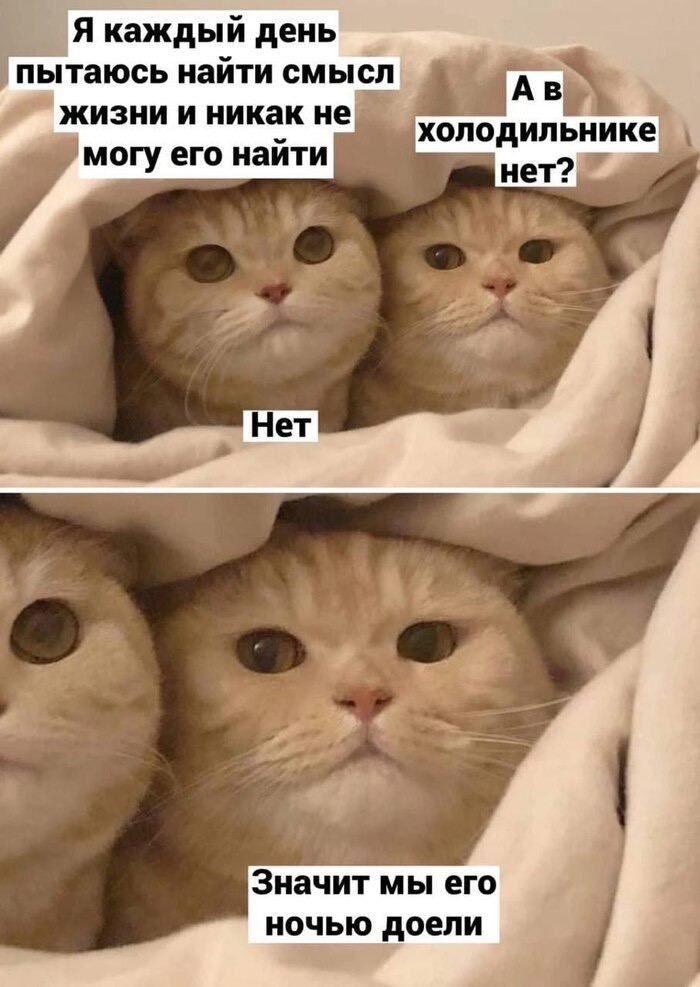 Я каждый день Значит мы его ночью доели