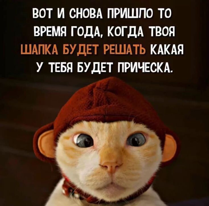 ВОТ И СНОВА ПРИШЛО ТО ВРЕМЯ ГОДА КОГДА ТВОЯ ШАЛКА БУДЕТ РЕШАТЬ КАКАЯ У ТЕБЯ БУДЕТ ПРИЧЕСКА у ъ х