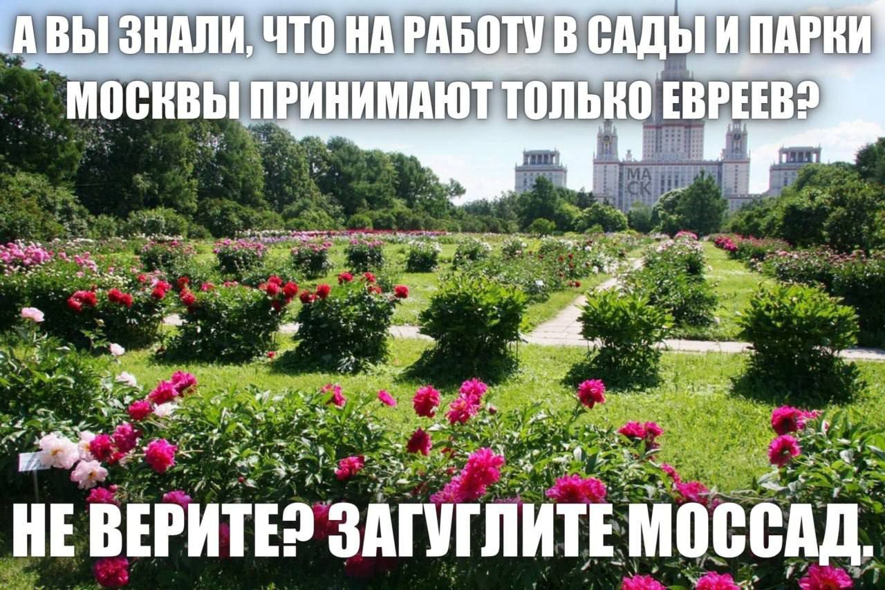 НЕ впгитъэзяшшит_йбс_д