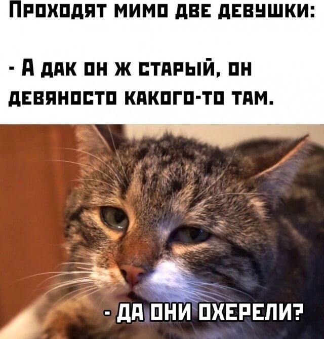 РОХОДЯТ МИМО ДВЕ ДЕВУШКИ Я ДАК ОН Ж СТАРЫЙ ОН ДЕВЯНОСТО КАКОГО ТО ТАМ Р ДАПНИ ОХЕРЕЛИ