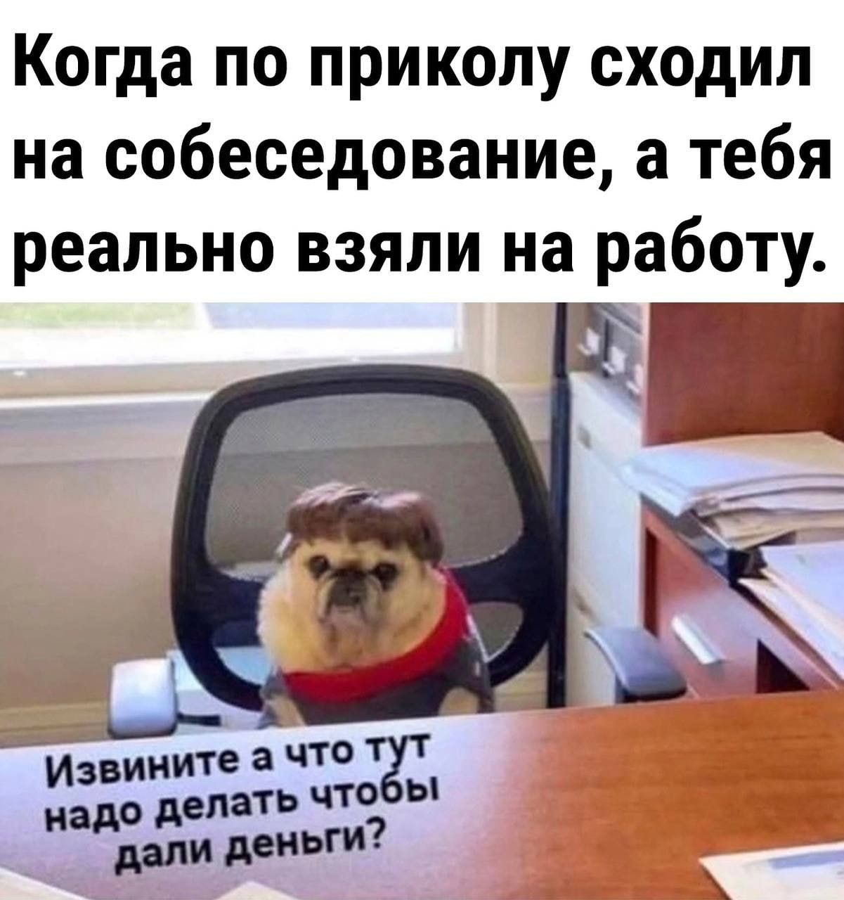 Когда по приколу сходил на собеседование а тебя реально взяли на работу звините а что Мадо делать чтобы дали деньги