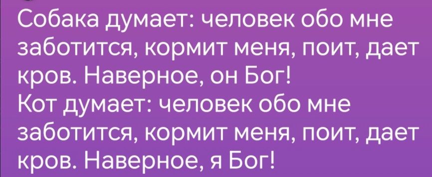 Собака думает человек обо мне заботится кормит меня поит дает кров Наверное он Бог Кот думает человек обо мне заботится кормит меня поит дает кров Наверное я Бог