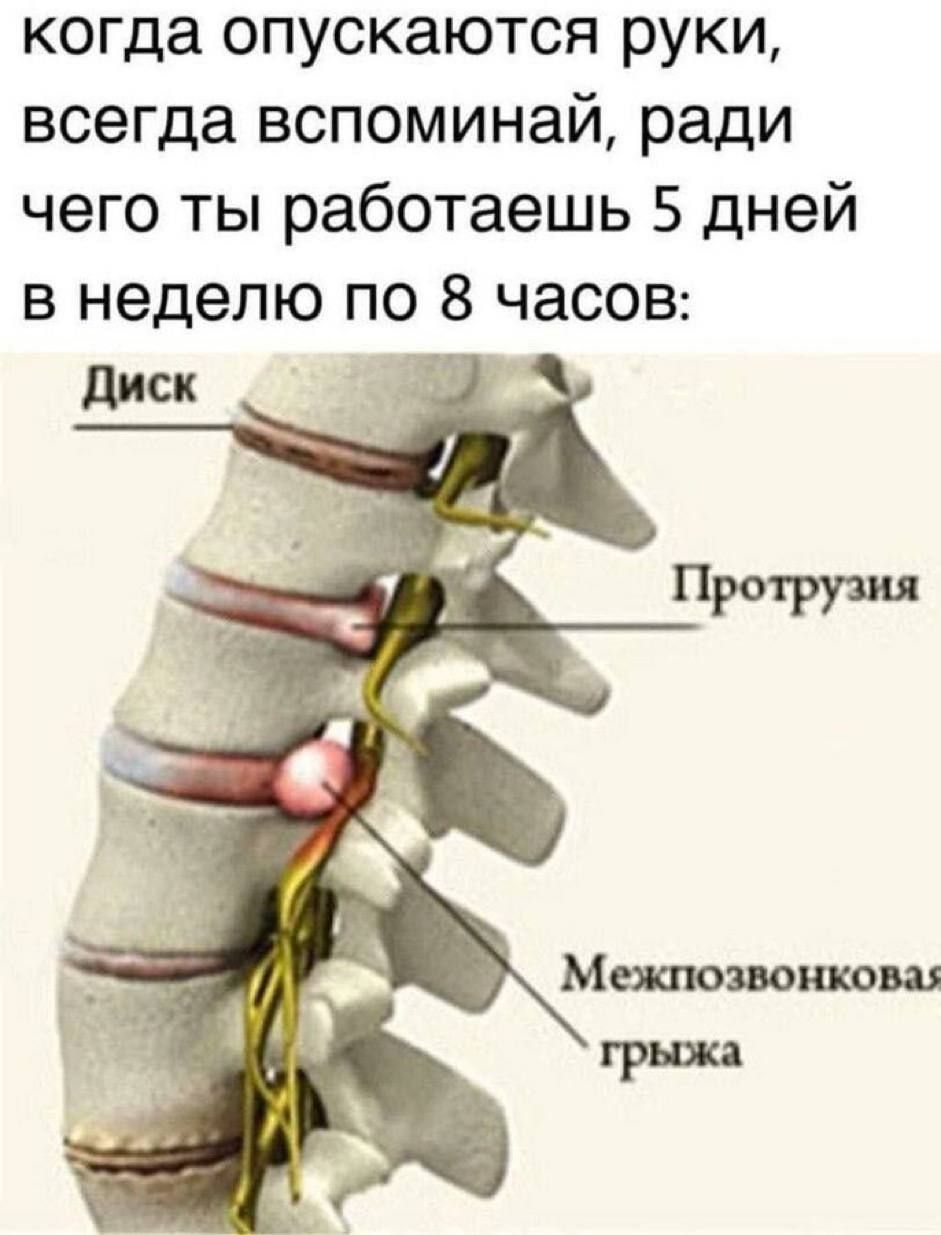 когда опускаются руки всегда вспоминай ради чего ты работаешь 5 дней в неделю по 8 часов