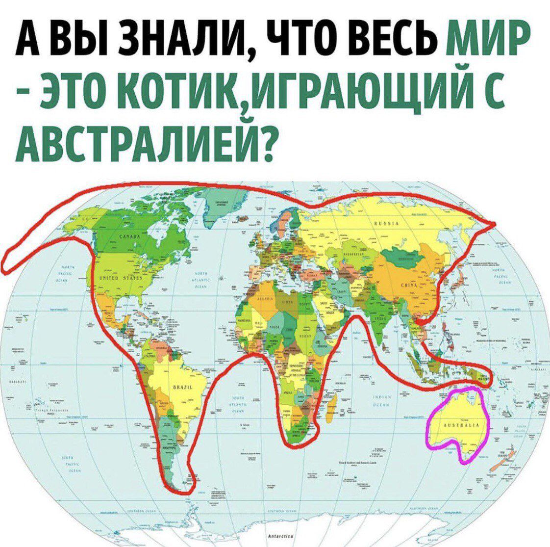 АВЫ ЗНАЛИ ЧТО ВЕСЬ МИР ЭТО КОТИКИГРАЮЩИЙ С АВСТРАЛИЕЙ