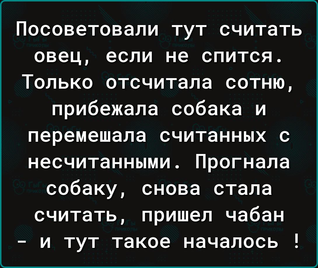 Посоветовали тут считать овец если не спится Только отсчитала сотню прибежала собака и перемешала считанных с несчитанными Прогнала собаку снова стала считать пришел чабан и тут такое началось