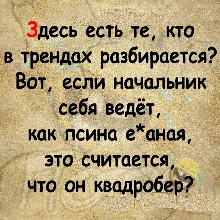 Здесь есть те кто в трендах разбирается Вот если начальник себя ведёт как псина еаная это считается что он квадробер