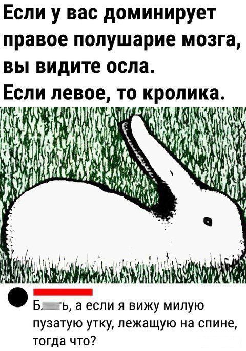 Если у вас доминирует правое полушарие мозга вы видите осла Еспи певое то кропика МАЫА ИНА Ы С ЫАНЫНК ЫЙ Блакь а если я вижу милую пузатую утку лежащую на спине тогда что