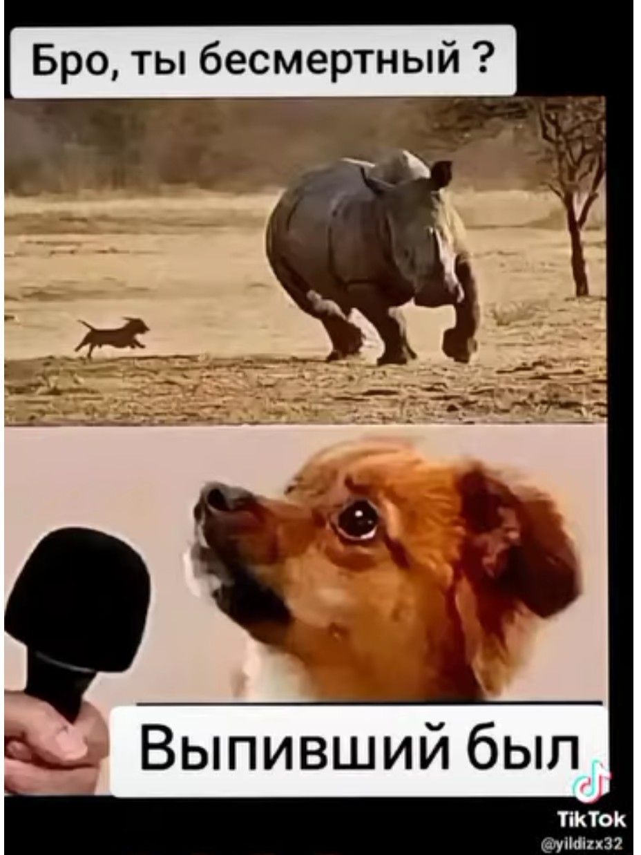 Бро ты бесмертный я