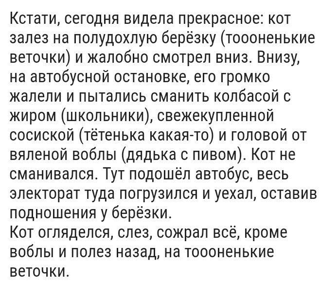 Кстати сегодня видела прекрасное кот залез на полудохлую берёзку тоооненькие веточки и жалобно смотрел вниз Внизу на автобусной остановке его громко жалели и пытались сманить колбасой с жиром школьники свежекупленной сосиской тётенька какая то и головой от вяленой воблы дядька с пивом Кот не сманивался Тут подошёл автобус весь электорат туда погрузился и уехал оставив подношения у берёзки Кот огля