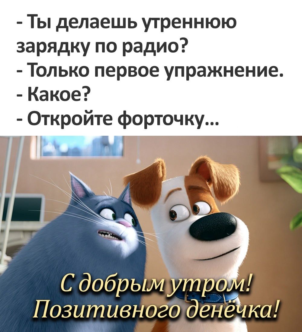 Ты делаешь утреннюю зарядку по радио Только первое упражнение Какое Откройте форточку С добры Позитивногодене